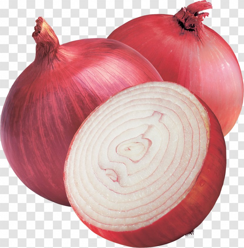 India Shallot Red Onion Vegetable Yellow - Bangalore Rose - Beet Transparent PNG