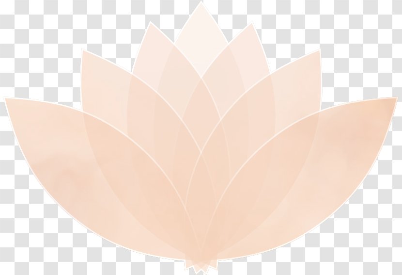 Pink M - White Lotus Transparent PNG