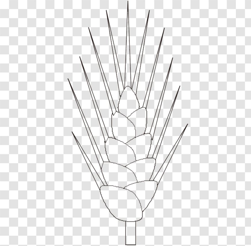 Clip Art - Wheat - Hand Painted Transparent PNG