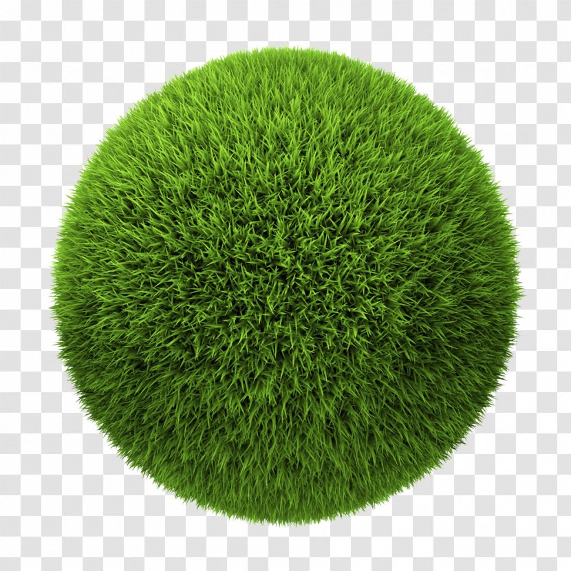Stock Photography Ball Royalty-free Illustration - Shrub - Round Grass Transparent PNG