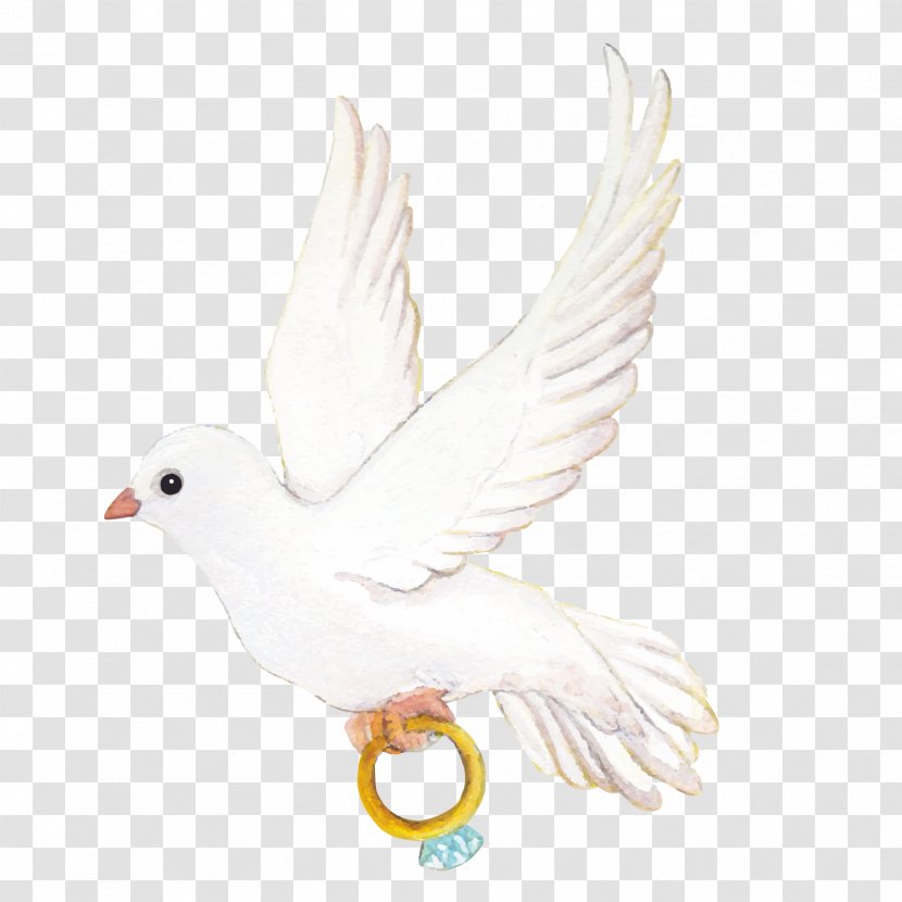 Wedding Ring Icon - Ducks Geese And Swans - Vector Love Pigeons Transparent PNG