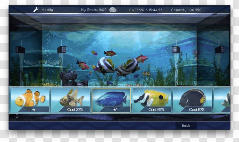 Aquarium Screensaver Apple TV Television Desktop Wallpaper - Macos Transparent PNG