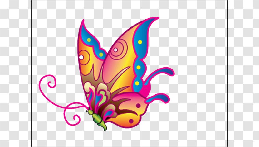 Butterfly Pattern - Invertebrate - Color Wizard Transparent PNG