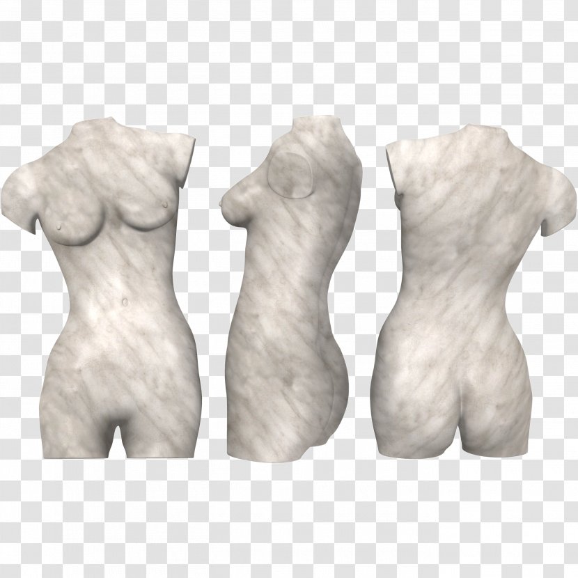 Torso Human Body Abdomen Anatomy Hip - Shoulder Transparent PNG