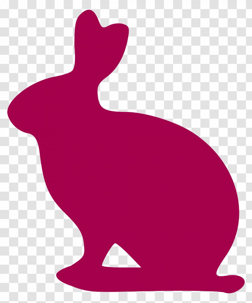 Argente Rabbit Belgian Hare Domestic European - Chinchilla Transparent PNG