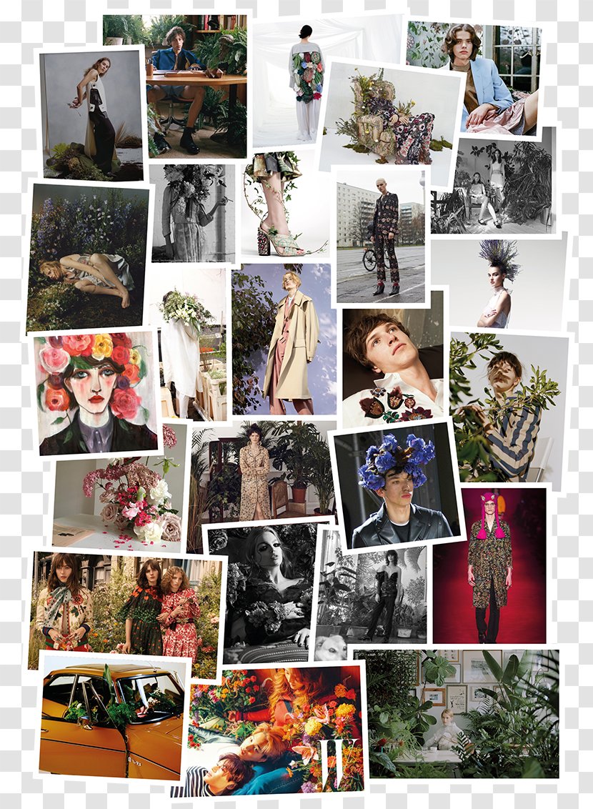 Collage Photomontage - Art Transparent PNG