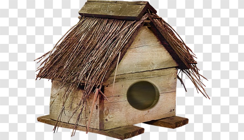 Pet Download - Hut - House Transparent PNG