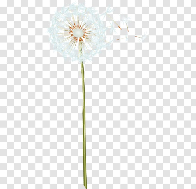 Floral Design Cut Flowers Pattern - White - Cartoon Dandelion Transparent PNG