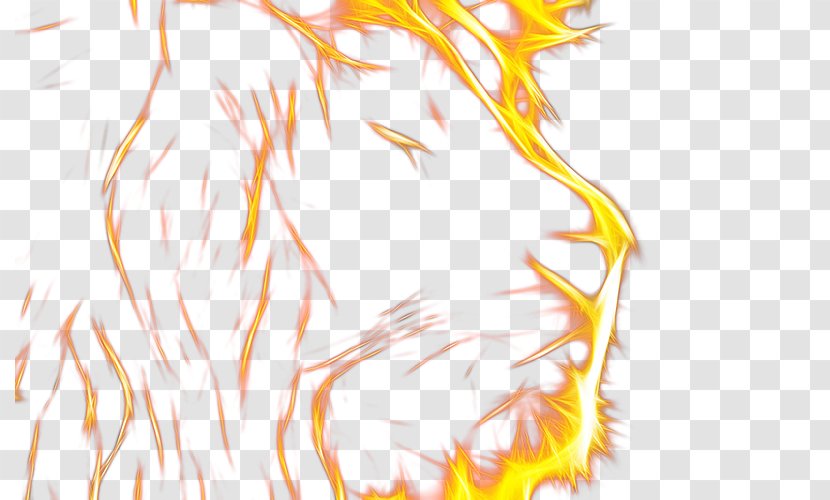 Flame Lion Head - Illustration Transparent PNG