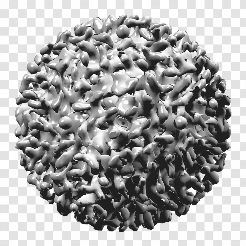 Hepatitis B Virus Viral - D - Disease Transparent PNG