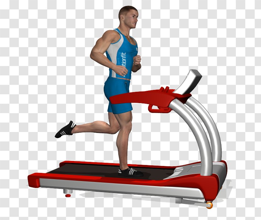 Treadmill Physical Fitness Aerobic Exercise Bikes Weight Training - Mat - Sports Equipment Transparent PNG