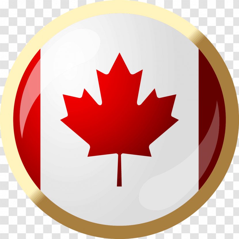 Canada United States Business Service Funding - Maple Leaf - A Transparent PNG