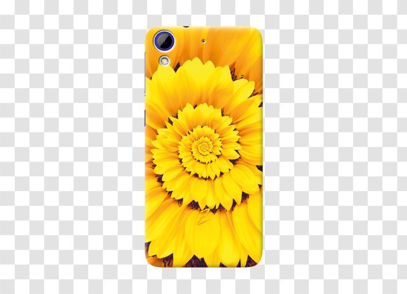 Transvaal Daisy Sunflower M Mobile Phone Accessories Marigolds Phones - Non Toxic Transparent PNG