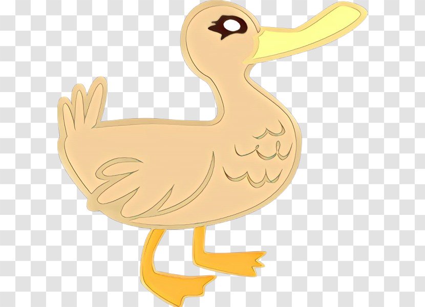 Chicken Cartoon - Water Bird Goose Transparent PNG