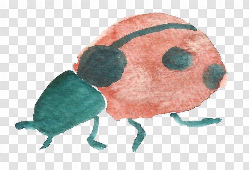 Beetle Ladybird - Cartoon - Ladybug Transparent PNG