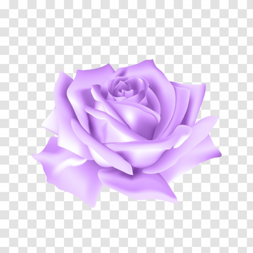 Garden Roses Clip Art Flower - Bouquet - Rose Transparent PNG
