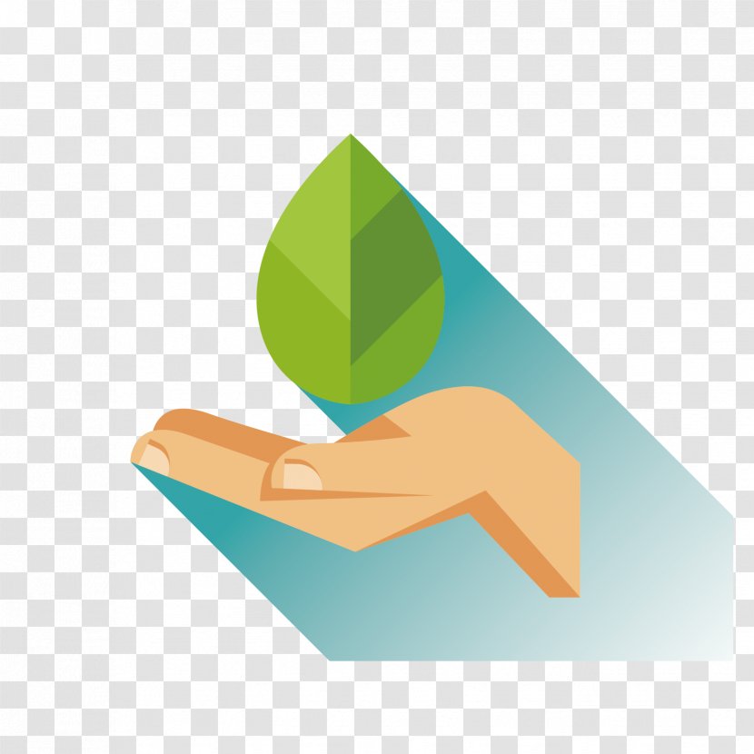Euclidean Vector Illustration - Hand - Holding The Leaves From Time To Transparent PNG