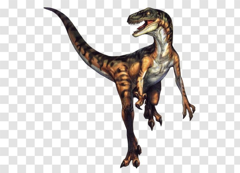 Velociraptor Tyrannosaurus Deinonychus Sinosauropteryx Dinosaur - Dino Crisis Transparent PNG