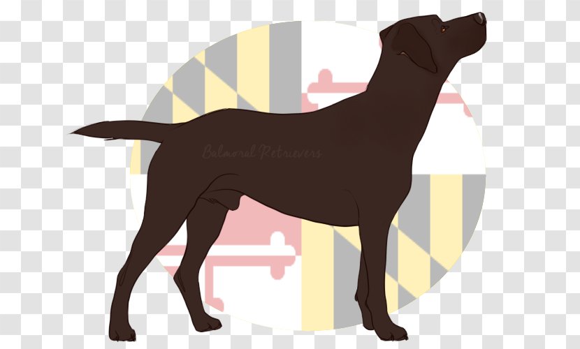 Labrador Retriever Spare Tire Wheel Jeep - Tail - Gentle And Quiet Transparent PNG