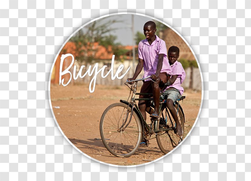 Road Bicycle Cycling Hybrid - Recreation - Family Transparent PNG