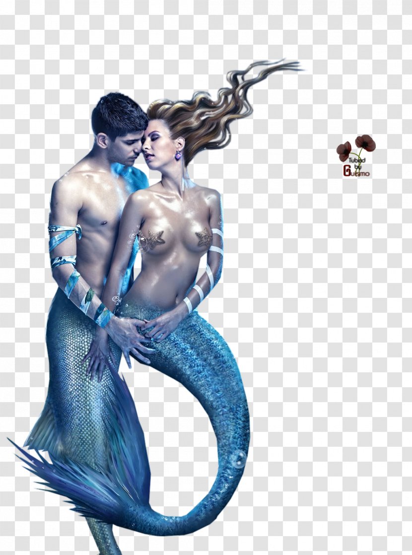 Mermaid Organism February 10 Illustration Sea - Theme Transparent PNG