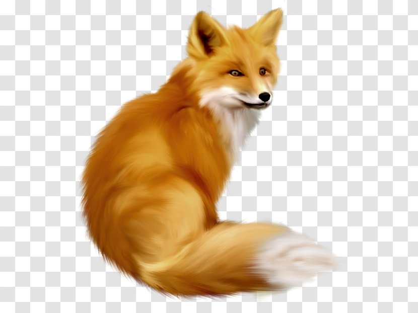 Fox Clip Art - Fur - Painted Clipart Transparent PNG