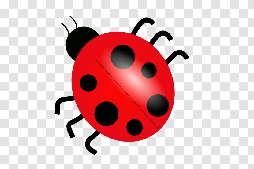 Ladybird Clip Art - Beetle - Drawing Transparent PNG