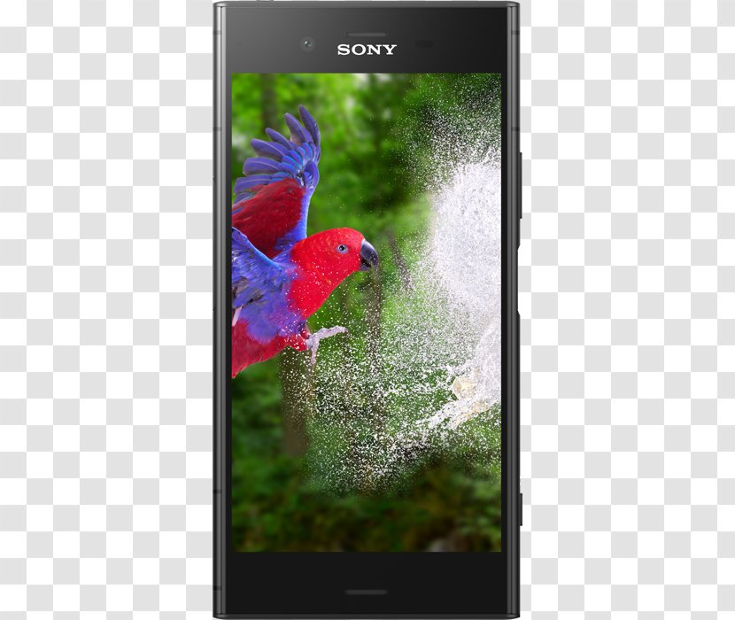 Sony Xperia XZ1 Compact XA1 P XZ Premium - Portable Communications Device - Smartphone Transparent PNG