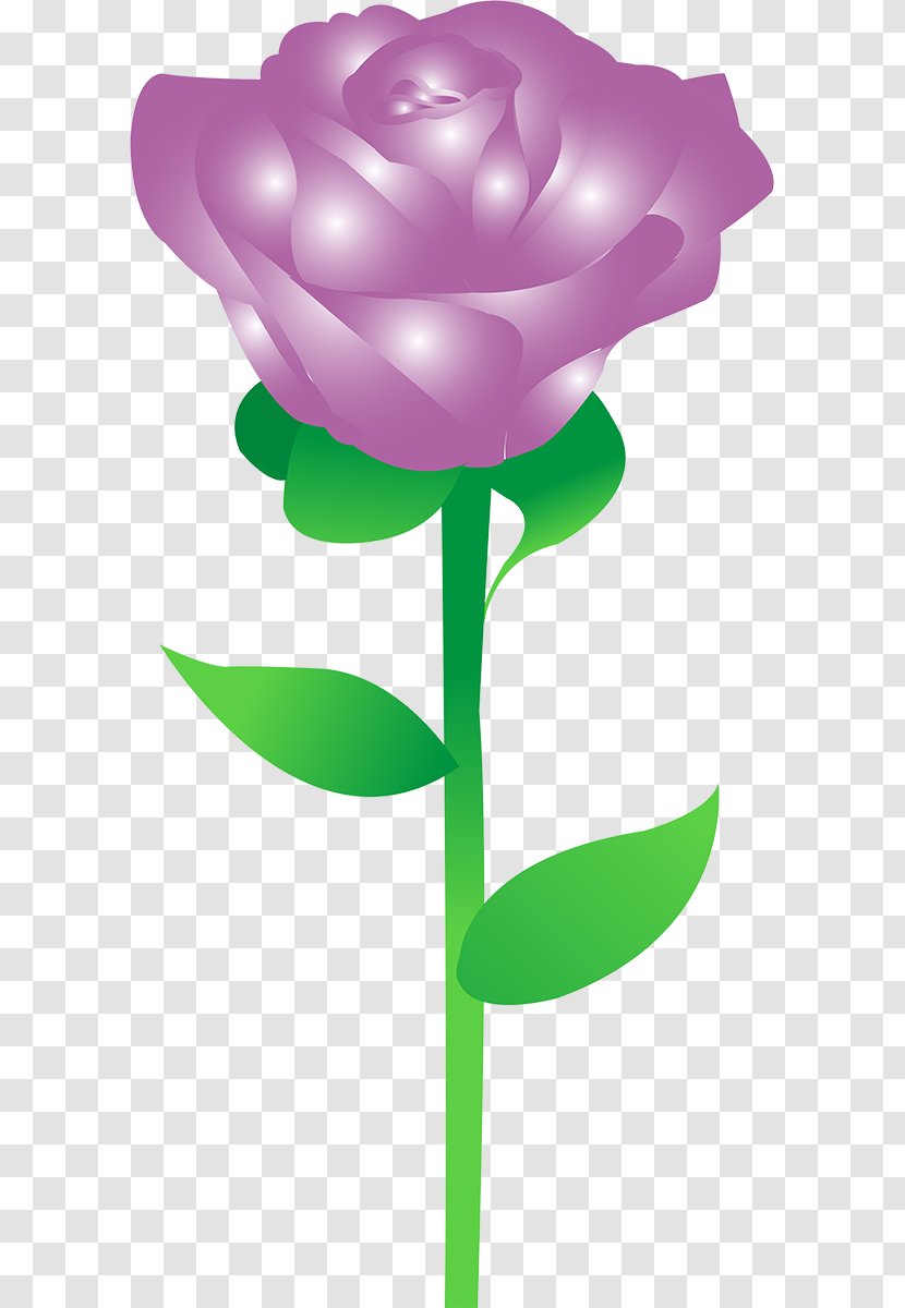 Garden Roses Cut Flowers Tulip Petal Plant Stem - Rose Transparent PNG