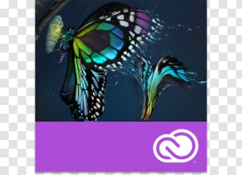 Adobe Premiere Pro CC Classroom In A Book (2014 Release) 2015 Release Creative Cloud Illustrator CS3 - Insect - Collection Transparent PNG