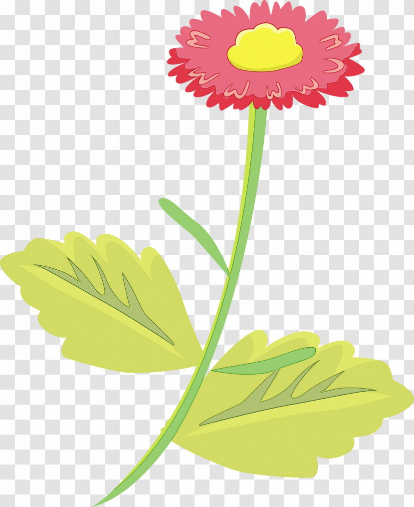 Daisy Transparent PNG