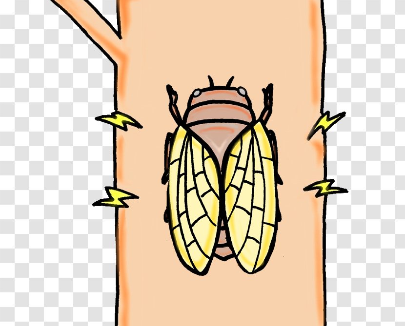 Cicadoidea Insect Clip Art Illustration ガールズちゃんねる - Frame Transparent PNG