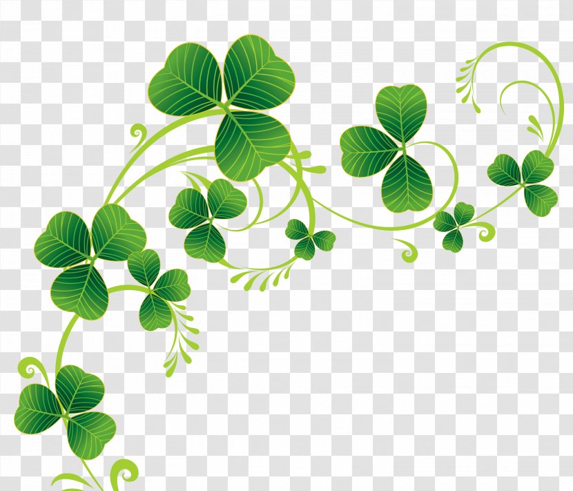 Ireland Saint Patrick's Day March 17 Shamrock Four-leaf Clover - Cartoon - Shamrocks Pictures Transparent PNG