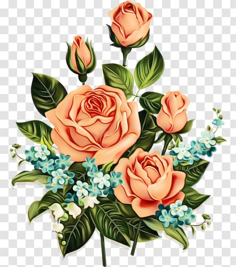 Garden Roses - Flower - Arranging Pink Transparent PNG