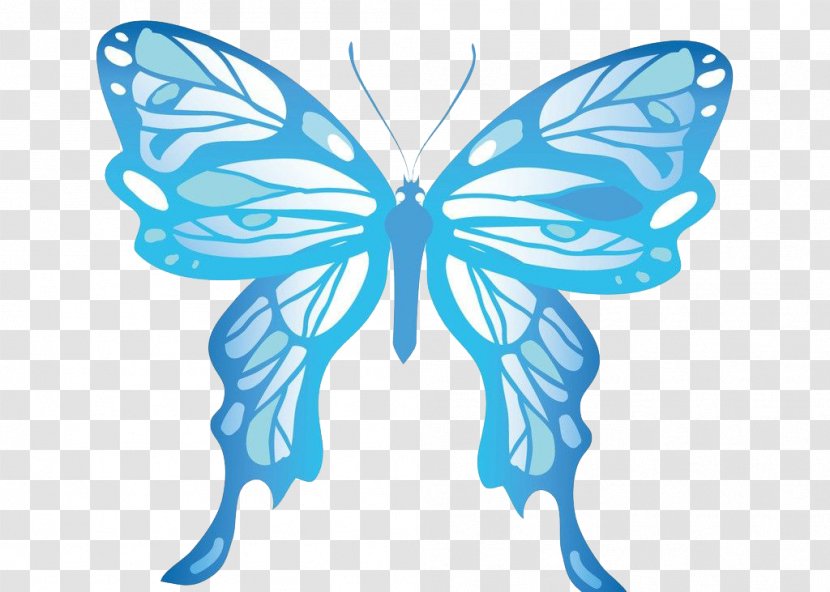Monarch Butterfly - Organism - Blue Transparent PNG