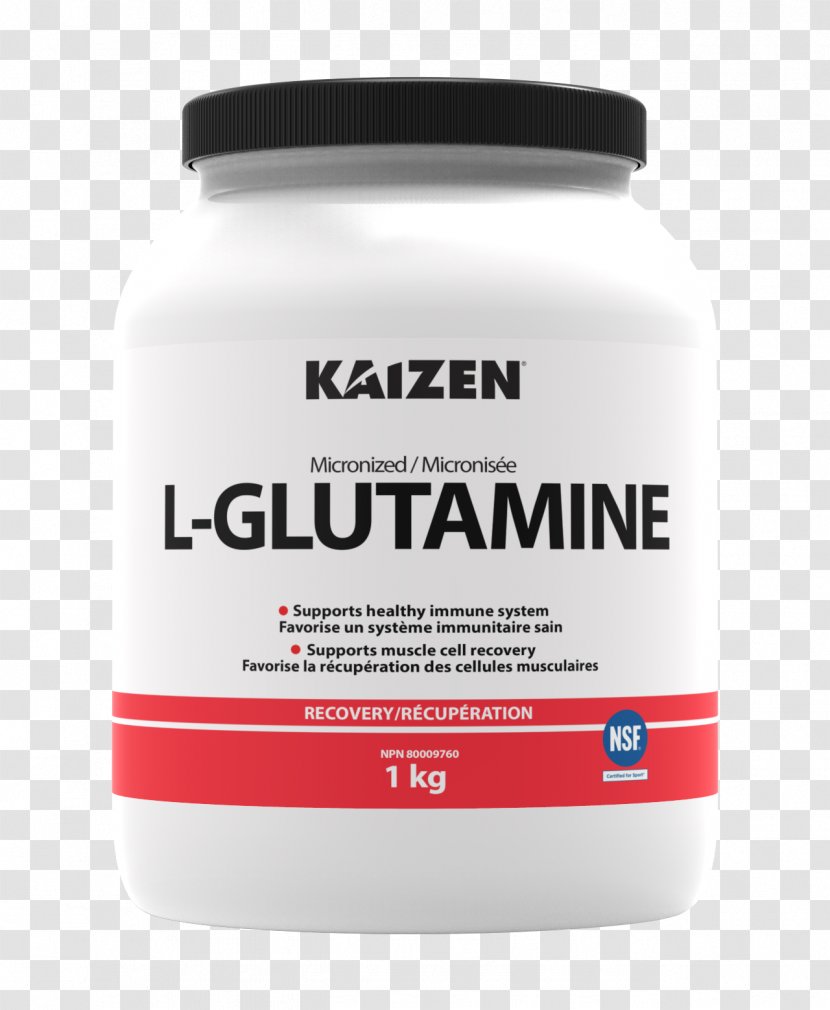 Dietary Supplement Creatine Glutamine Whey Protein - Bcaa Transparent PNG