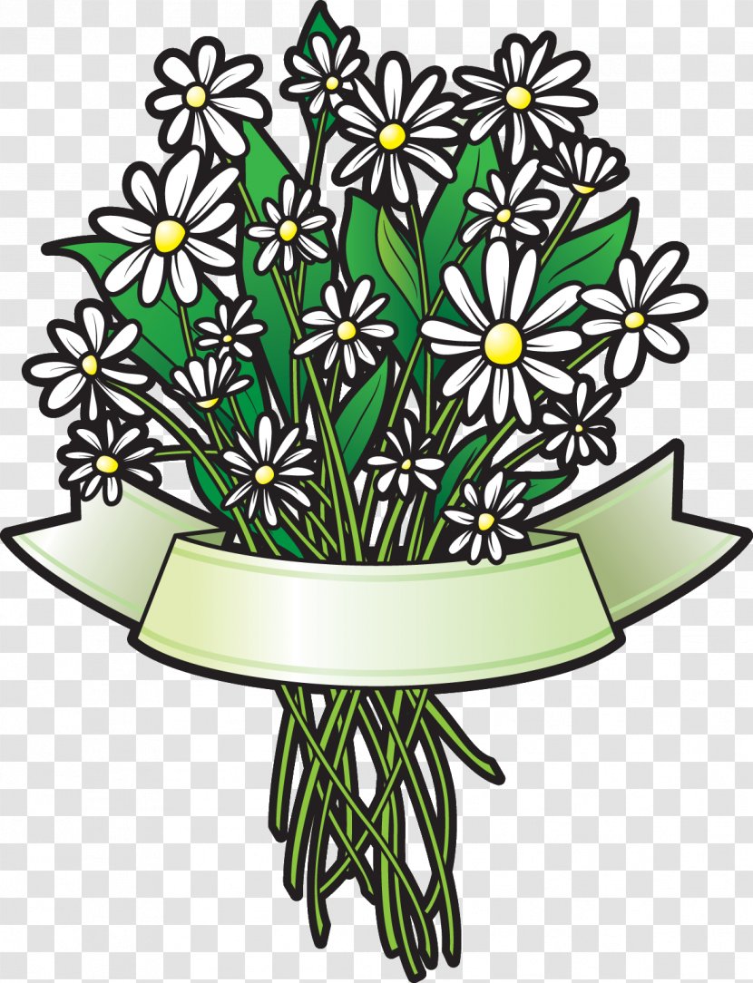 Floral Design Flower Illustration Clip Art Image - Common Daisy Transparent PNG