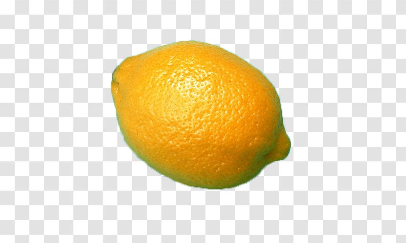 Clementine Lemon Rangpur Tangerine Tangelo - Fresh Transparent PNG