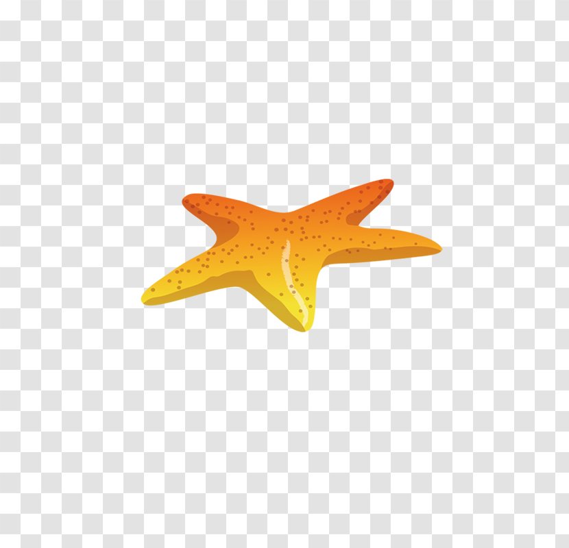 Euclidean Vector Icon - Sea - Starfish Creative Transparent PNG