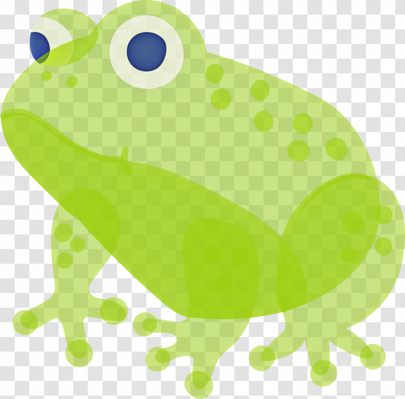 Frog Transparent PNG
