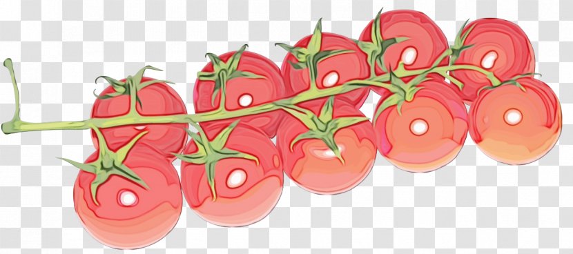 Tomato - Natural Foods - Cherry Tomatoes Transparent PNG