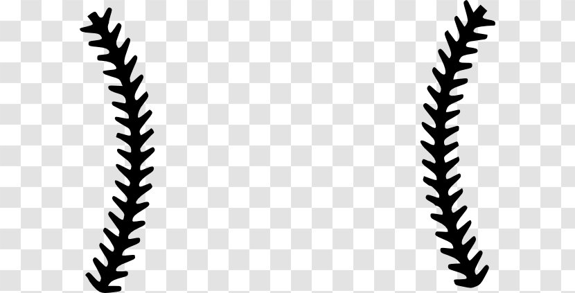 Baseball Stitch Seam Clip Art - Symmetry - Stitches Cliparts Transparent PNG