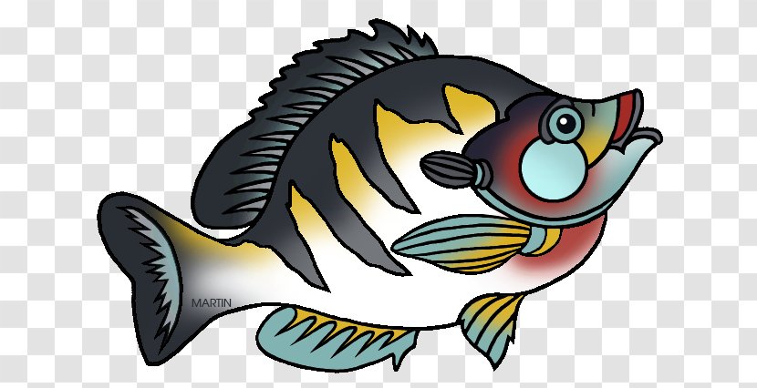 Bluegill State Fish Field Museum Of Natural History Clip Art - Fauna Transparent PNG