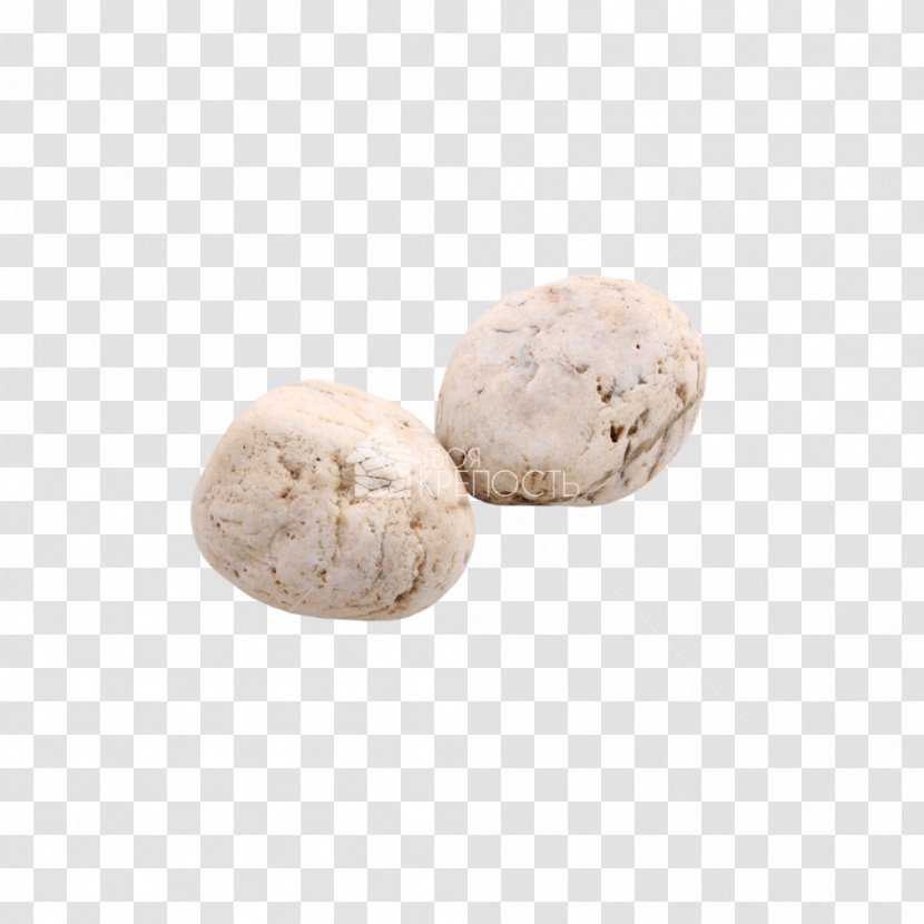 Cookie M - Biscuit - Sea Stones Transparent PNG