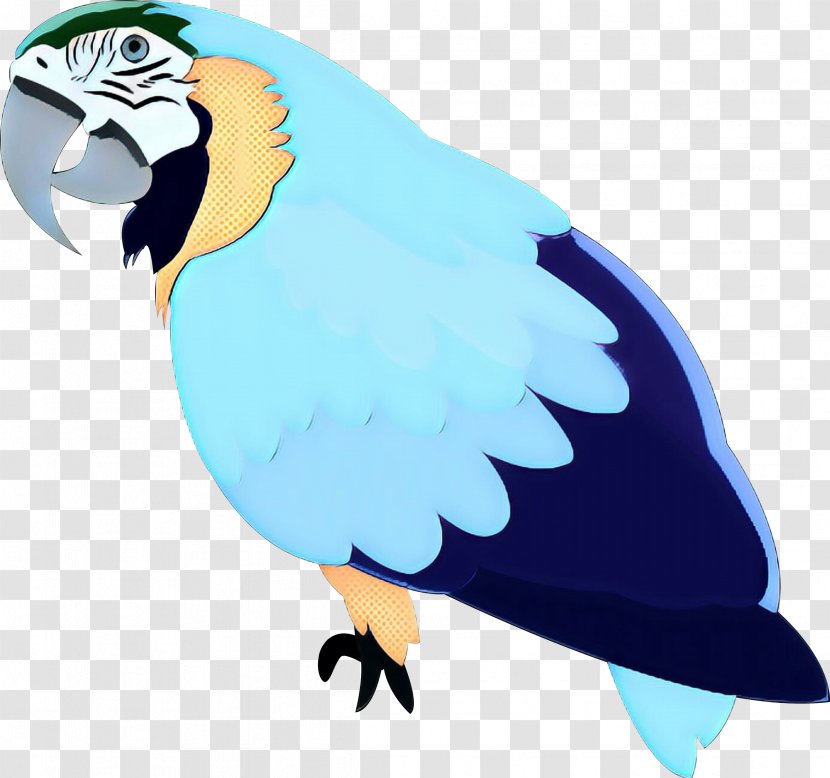 Macaw Clip Art Feather Illustration Bird - Fauna Transparent PNG