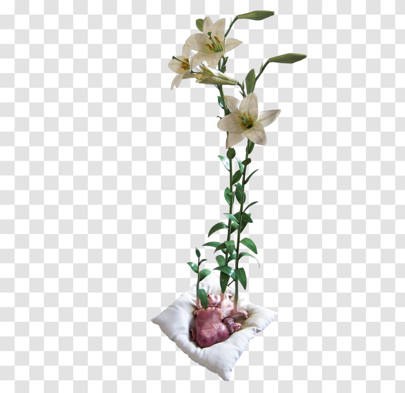Art Floral Design Seletti Cut Flowers - Plant Stem - Gigli Transparent PNG