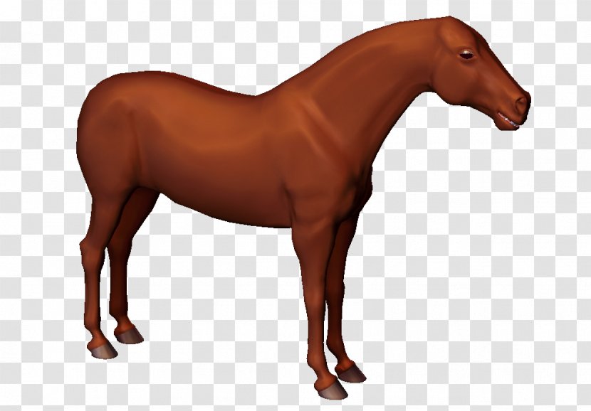 Horse Physics Newton's Laws Of Motion Reaction - Mane Transparent PNG