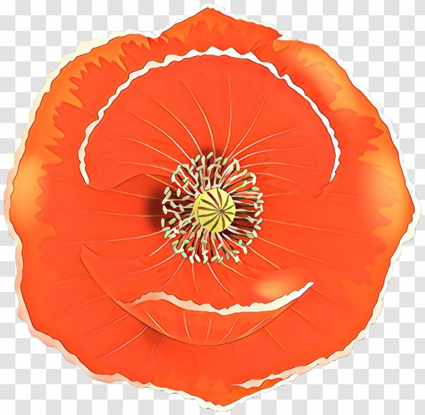 Orange - Petal - Poppy Coquelicot Transparent PNG
