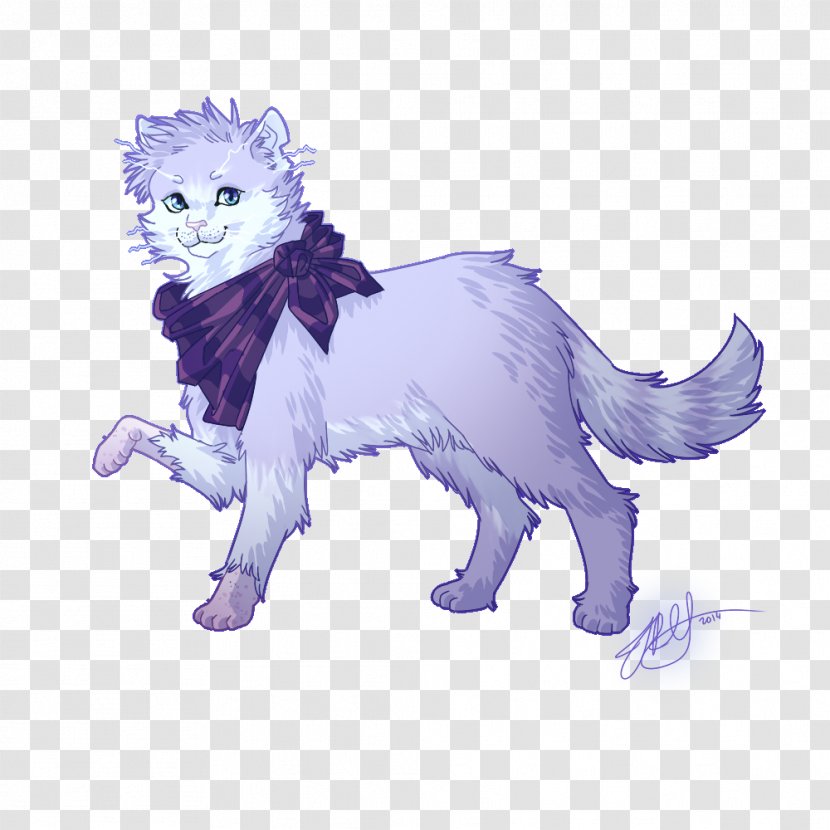 Whiskers Kitten Cat Canidae Transparent PNG