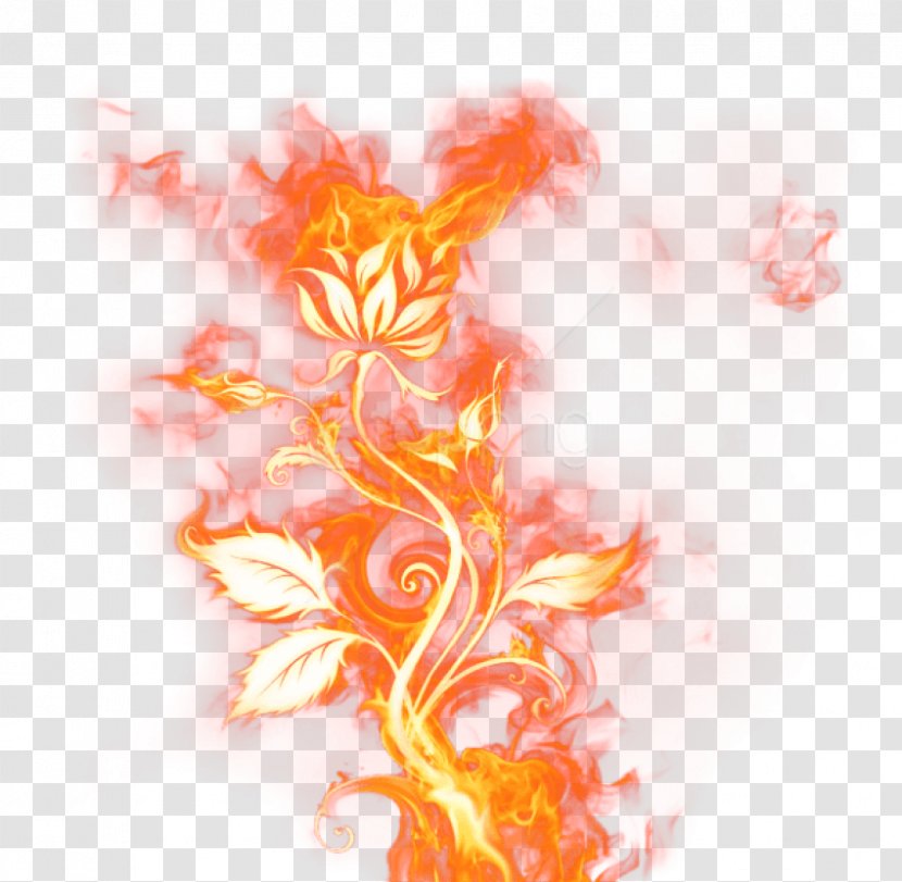 Flame Cartoon - Fire - Peach Yellow Transparent PNG